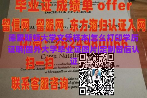 德累斯顿大学文凭样本|怎么打印学历证明|国外大学毕业证图片|定制留信认证