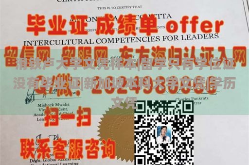 滑铁卢大学文凭样本|留学只有学位证没有毕业证|新加坡本科大学文凭|学历文凭